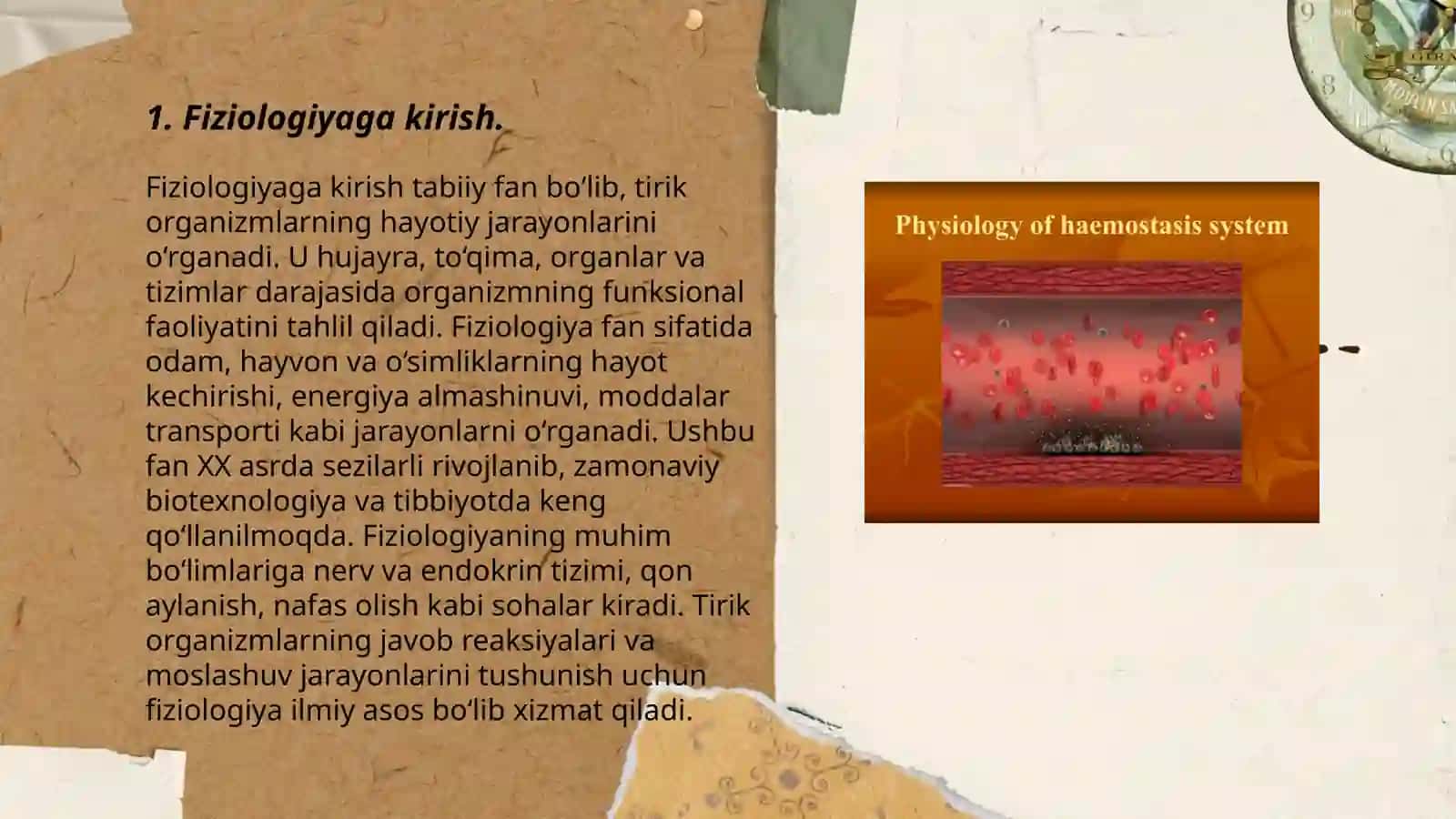 Fiziologiyaga kirish 3