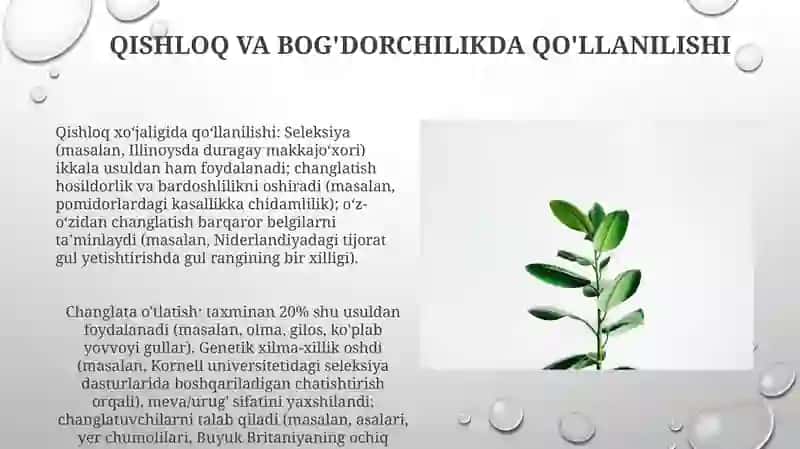 Oʻsimliklarda oʻzidan va chetdan changlanish 3