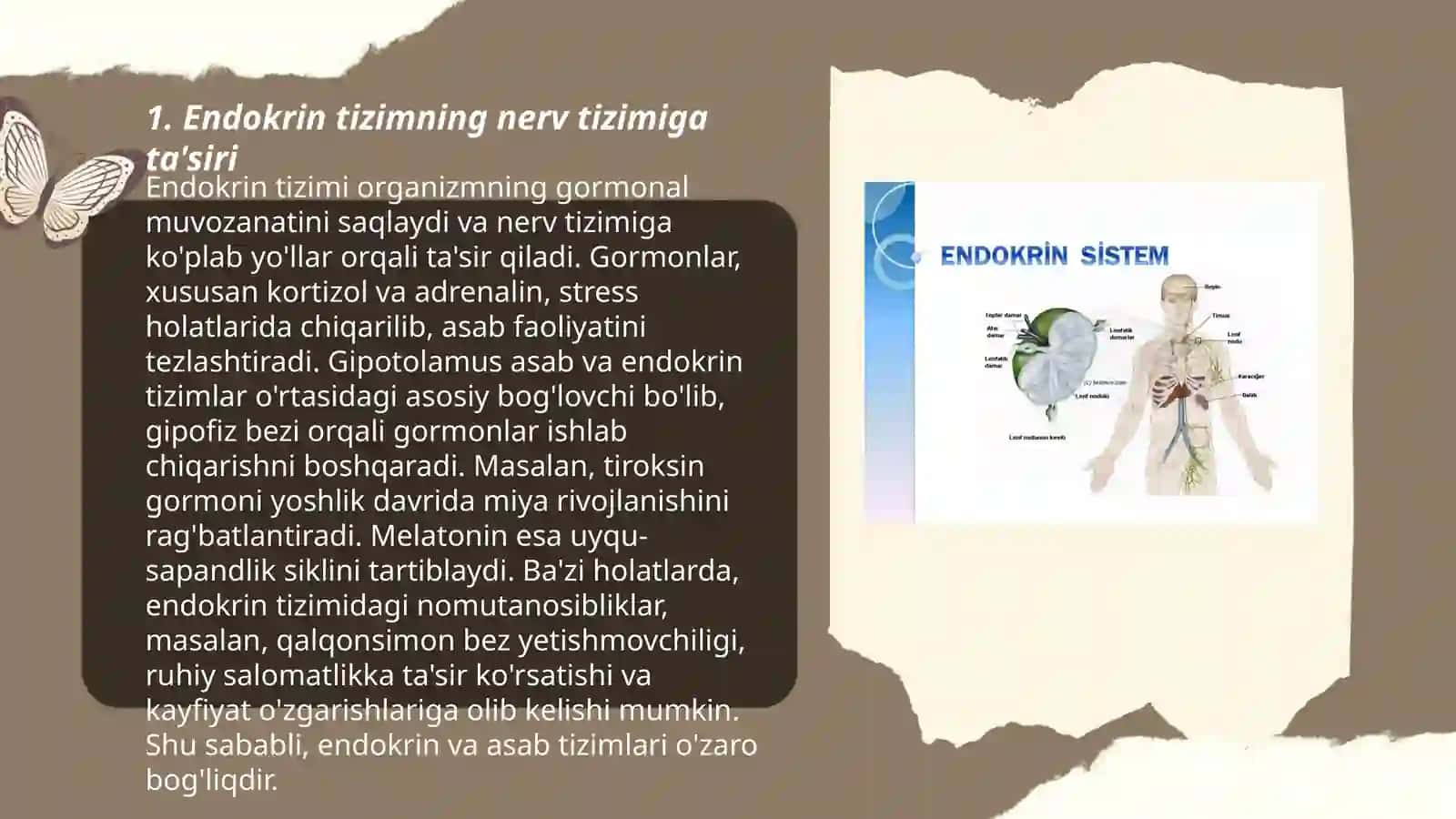 Endokrin va nerv tizimining aloqasi 3