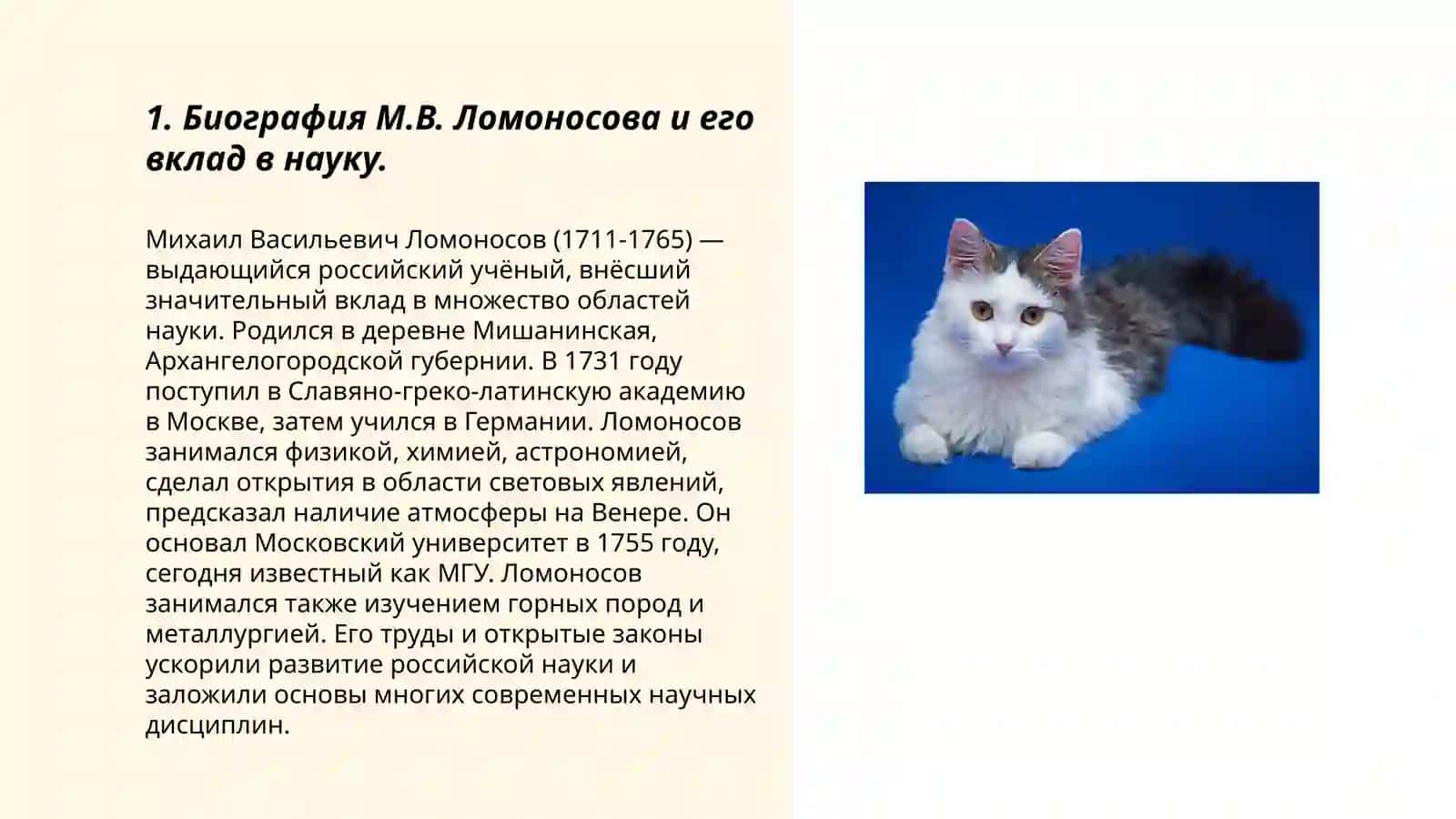 Деятельность М.В.Ломоносова в развитии и популяризации русского литературного языка 3