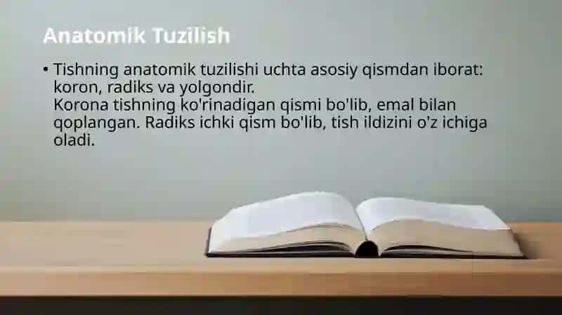 Tishlarning anatomik, morfologik va gistologik tuzilishi 3