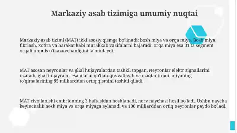 Markaziy nerv tizimining funktsional anatomiyasi 3