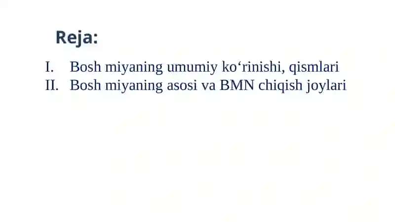 Bosh miyaning umumiy koʻrinishi 3