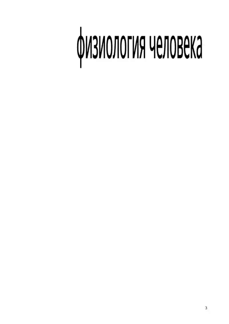 Физиология человека 3