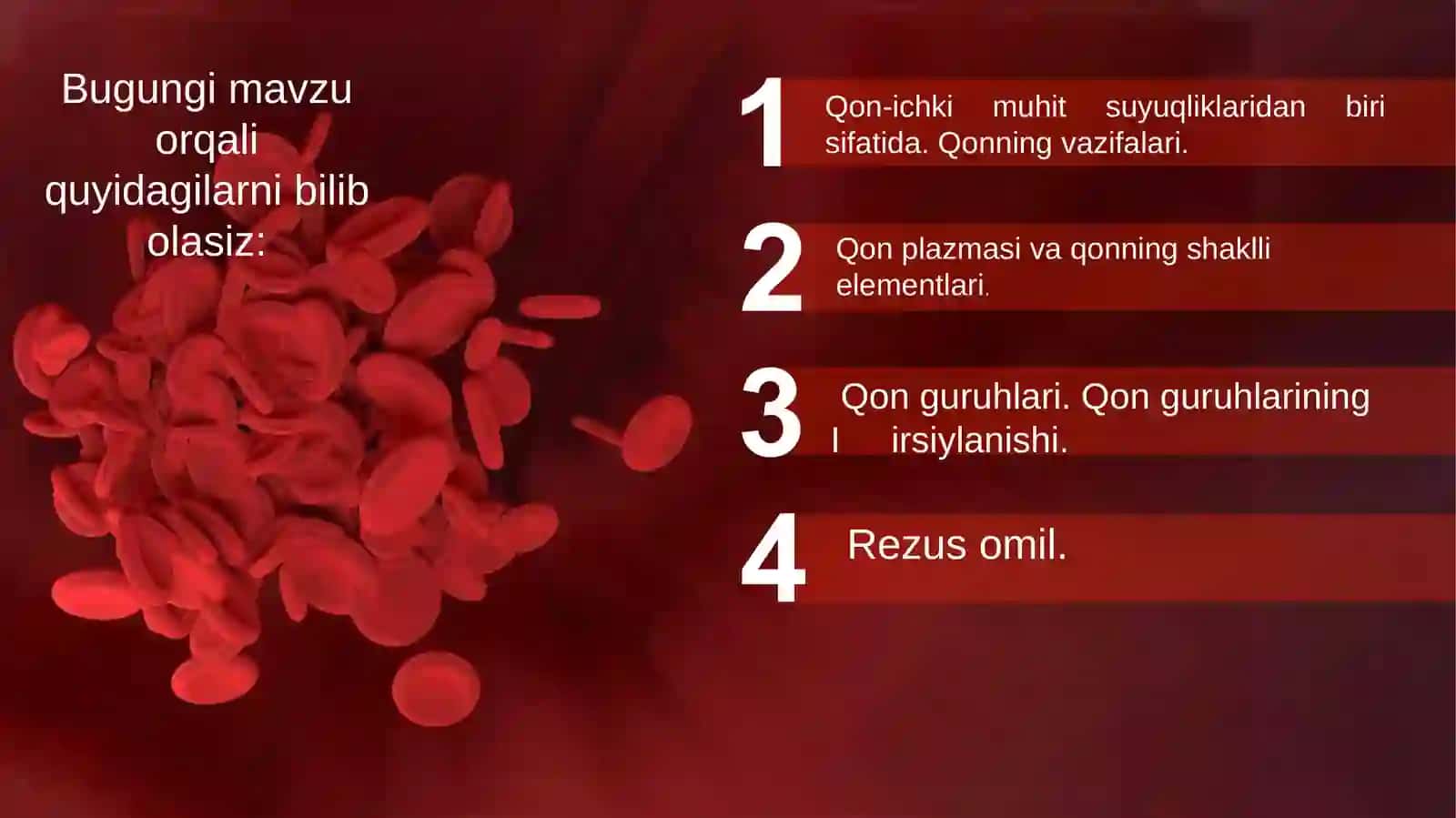 Qon aylanish sistemasi fiziologiyasi 3