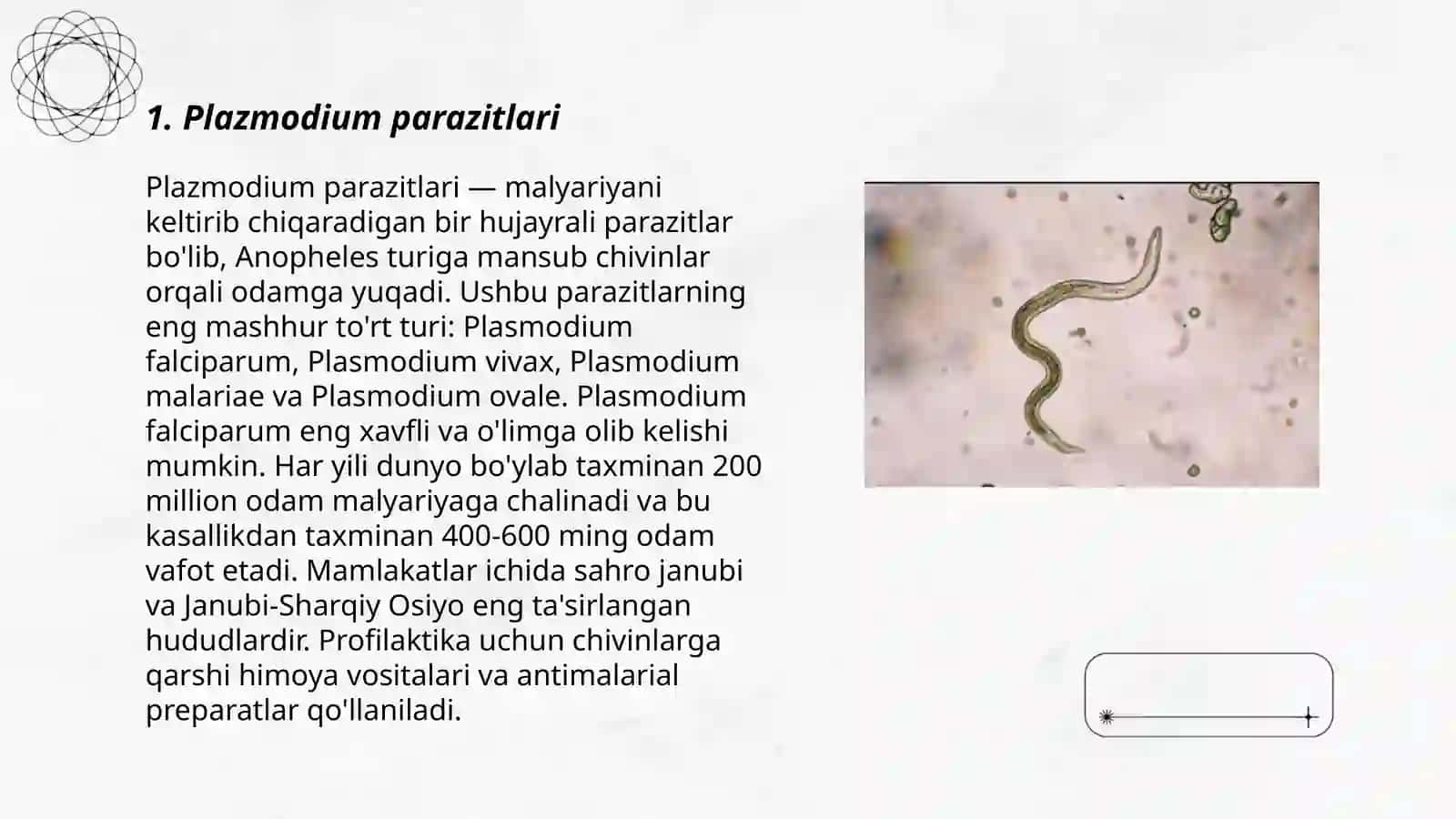Plazmodium parazitlari 3