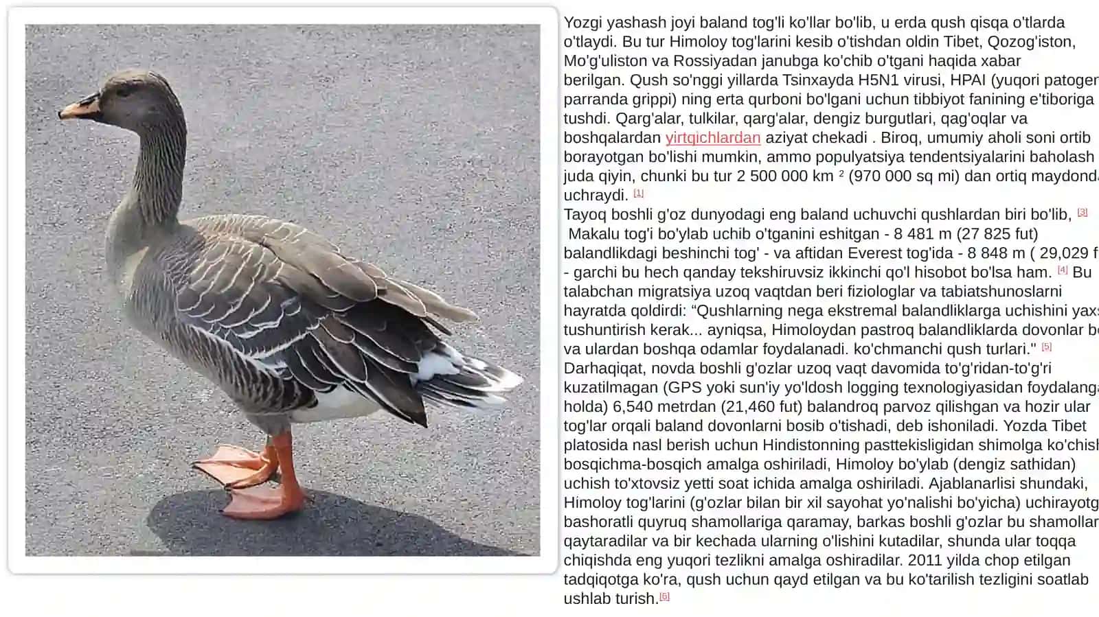 Kulrangg'oz jinsi 3