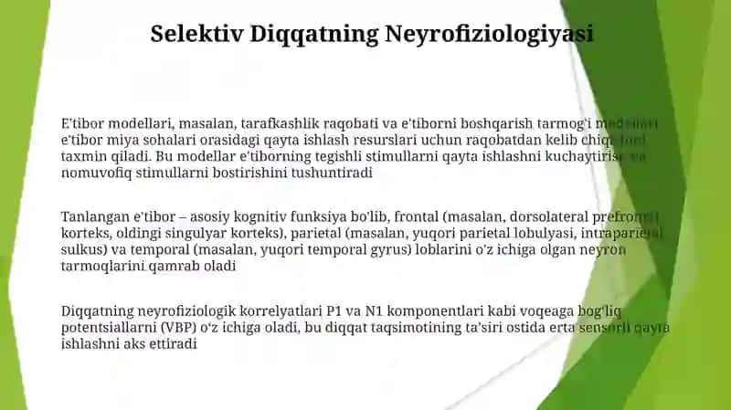Diqqat tanqisligi va nevrologik kasalliklar 3