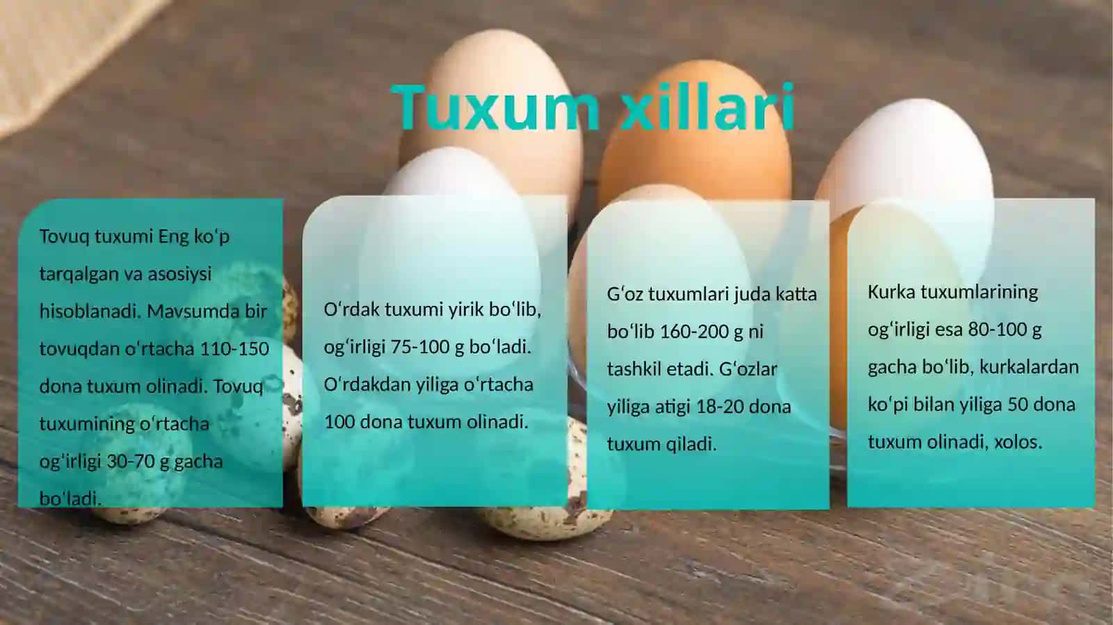 Tuxumlar 3