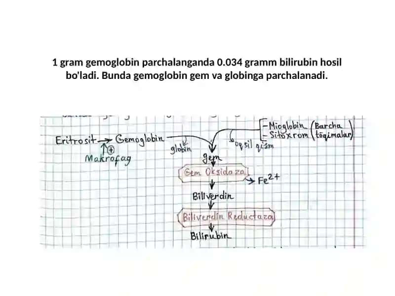 Sariqlikning biokimyoviy jihatdan differensial tashhisi 3