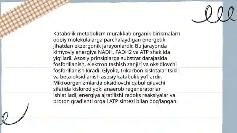Katabolik metabolizm 3