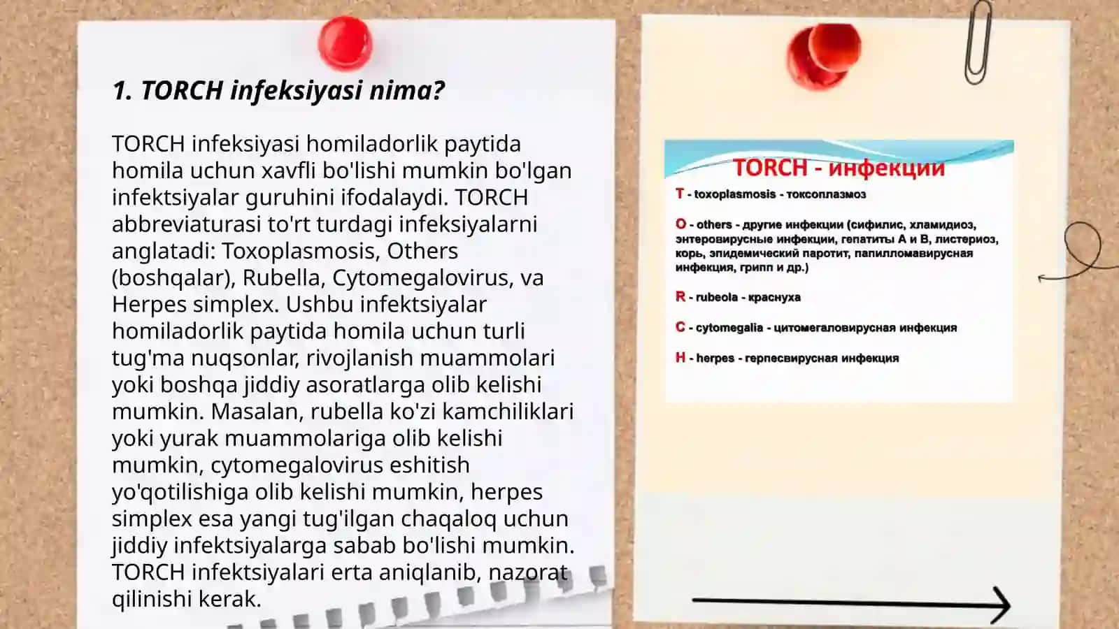 Torch infeksiyasi haqida 3