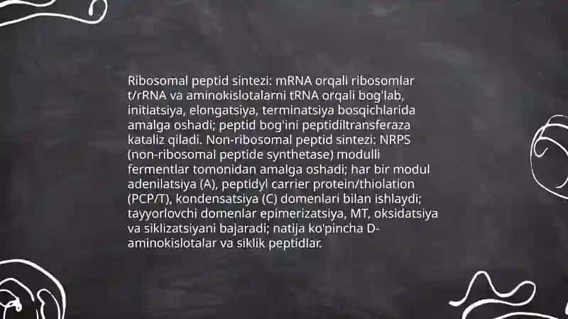 Peptid va oqsillar sintezi 3