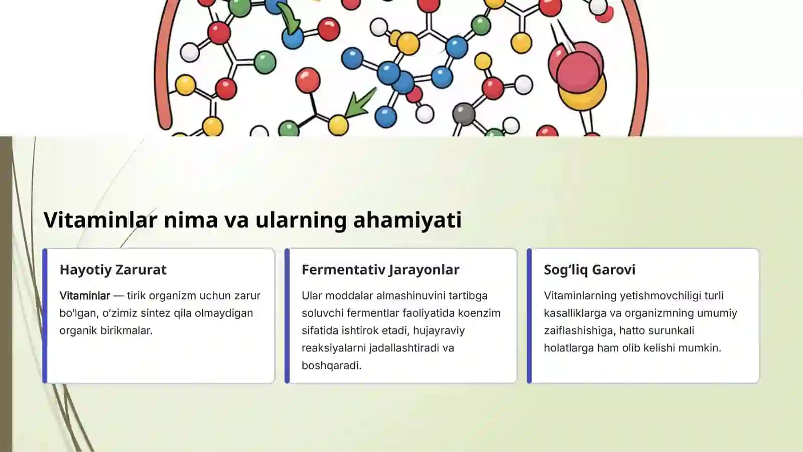 Vitaminlarning Biokimyoviy roli 3