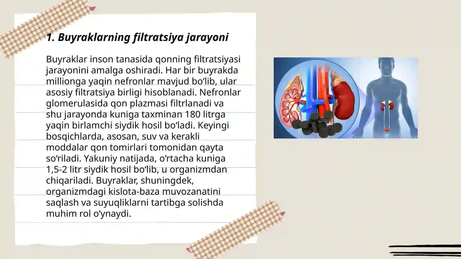 Arterial bosimning boshqariluvida buyraklarning roli 3