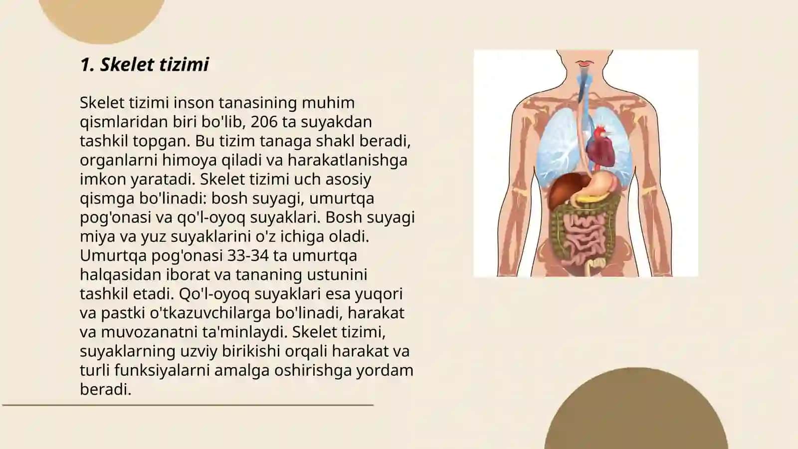 Skelet tizimi 3