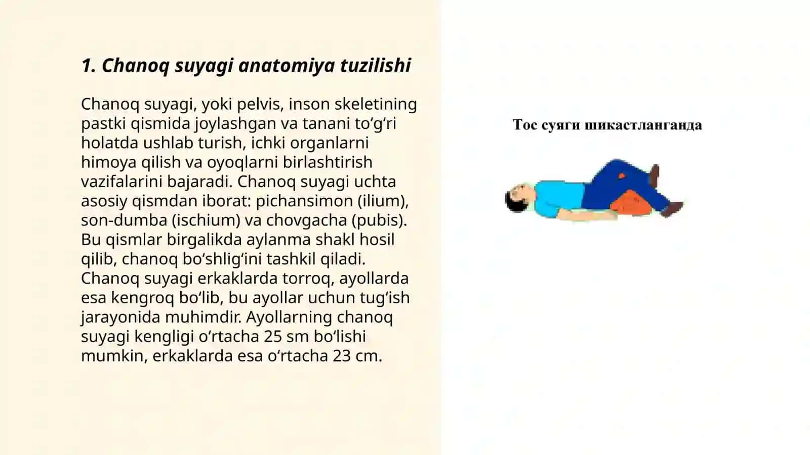 Chanoq suyagi anatomiyasi 3