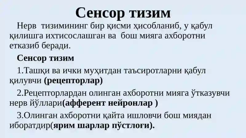 Анализаторлар физиологияси 3