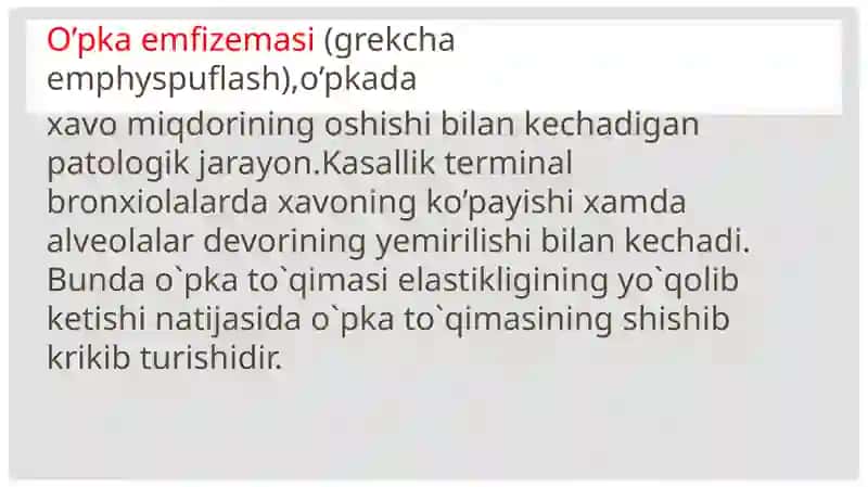 O’PKAEMFIZEMASI 3