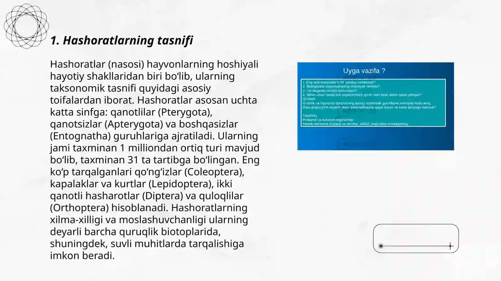 Hashoratlar sistematikasi 3