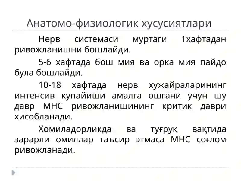 BOLALARNING ASAB TIZIMI VA ASAB RUHIY RIVOJLANISH 3