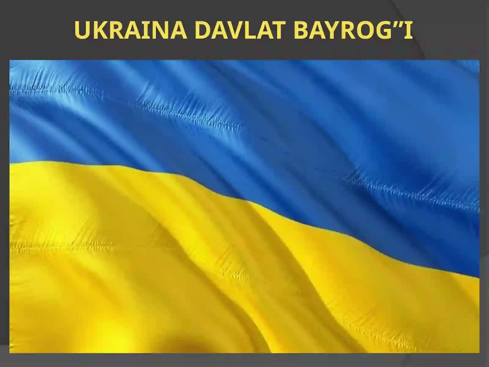 Ukraina davlat prezidenti Vladimir Zelenskiy 3