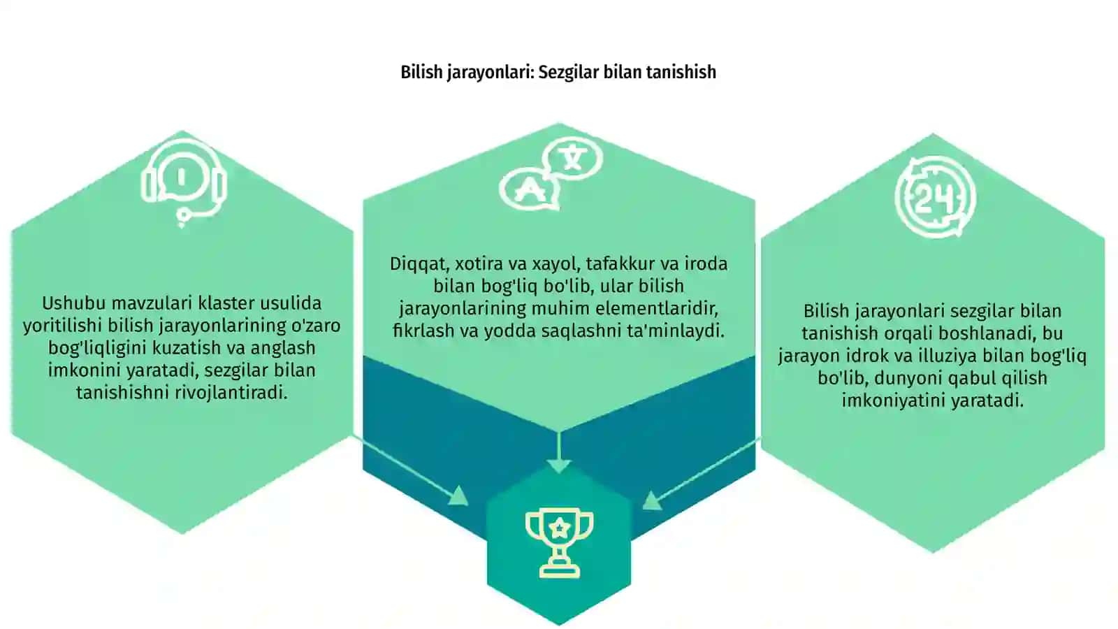 Bilish jarayonlari: sezgilar 3