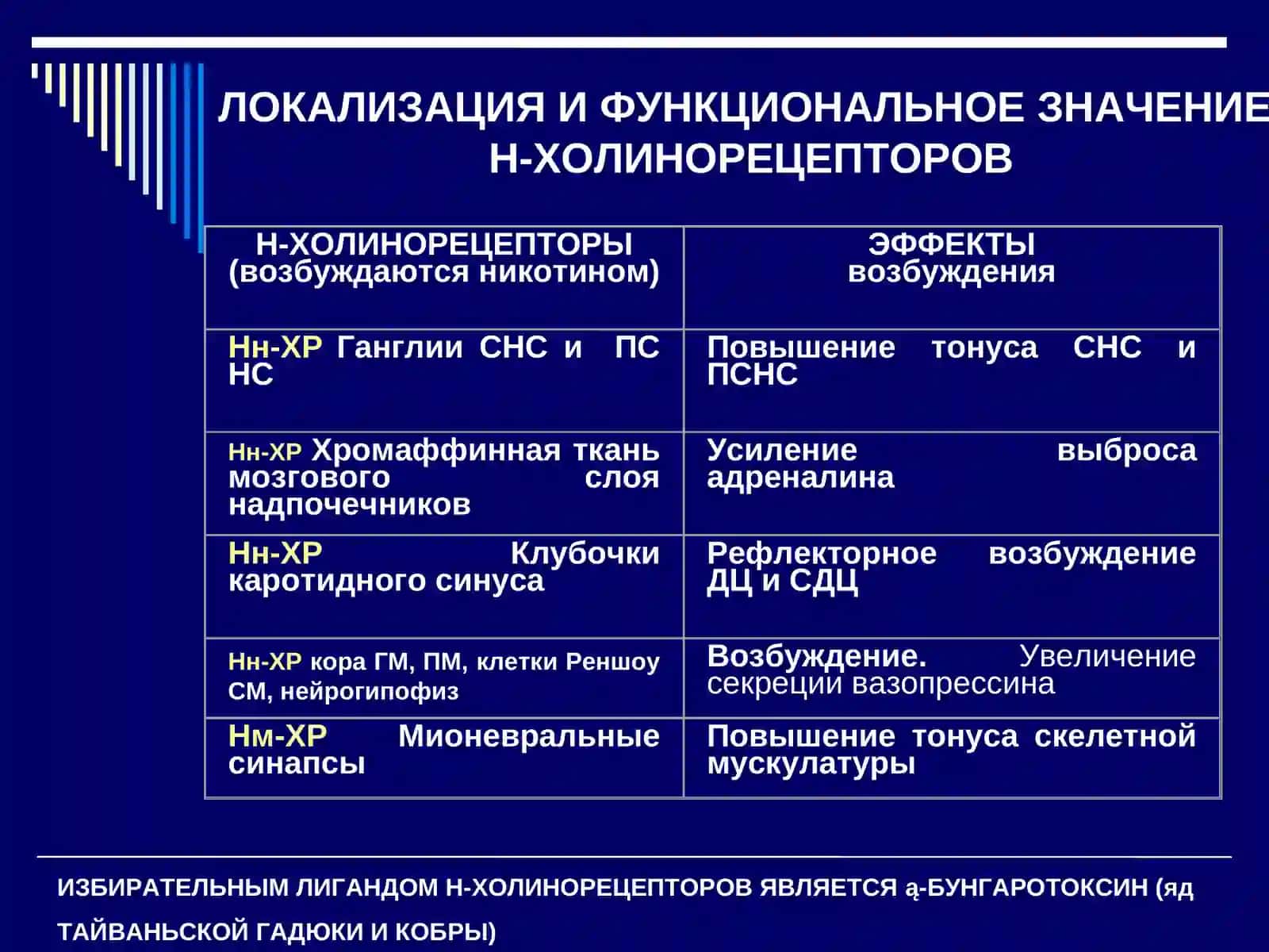Средства, влияющие на Н-холинорецепторы 3