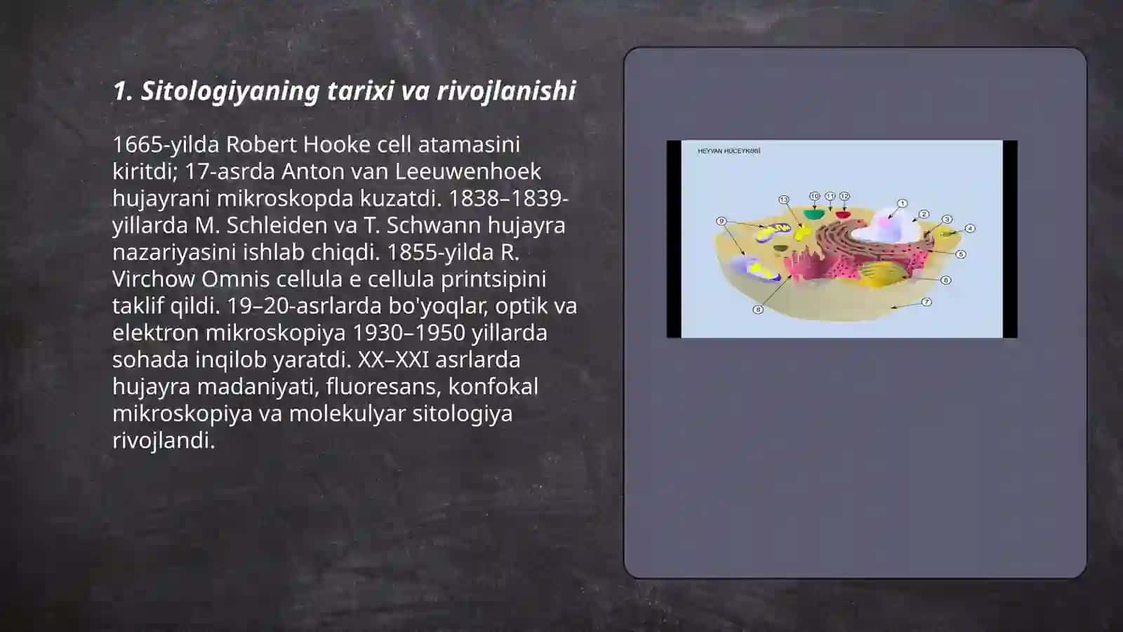 Sitologiya 3
