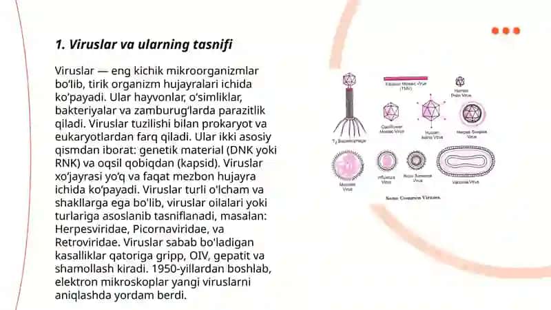 Viruslar haqida tushuncha 3