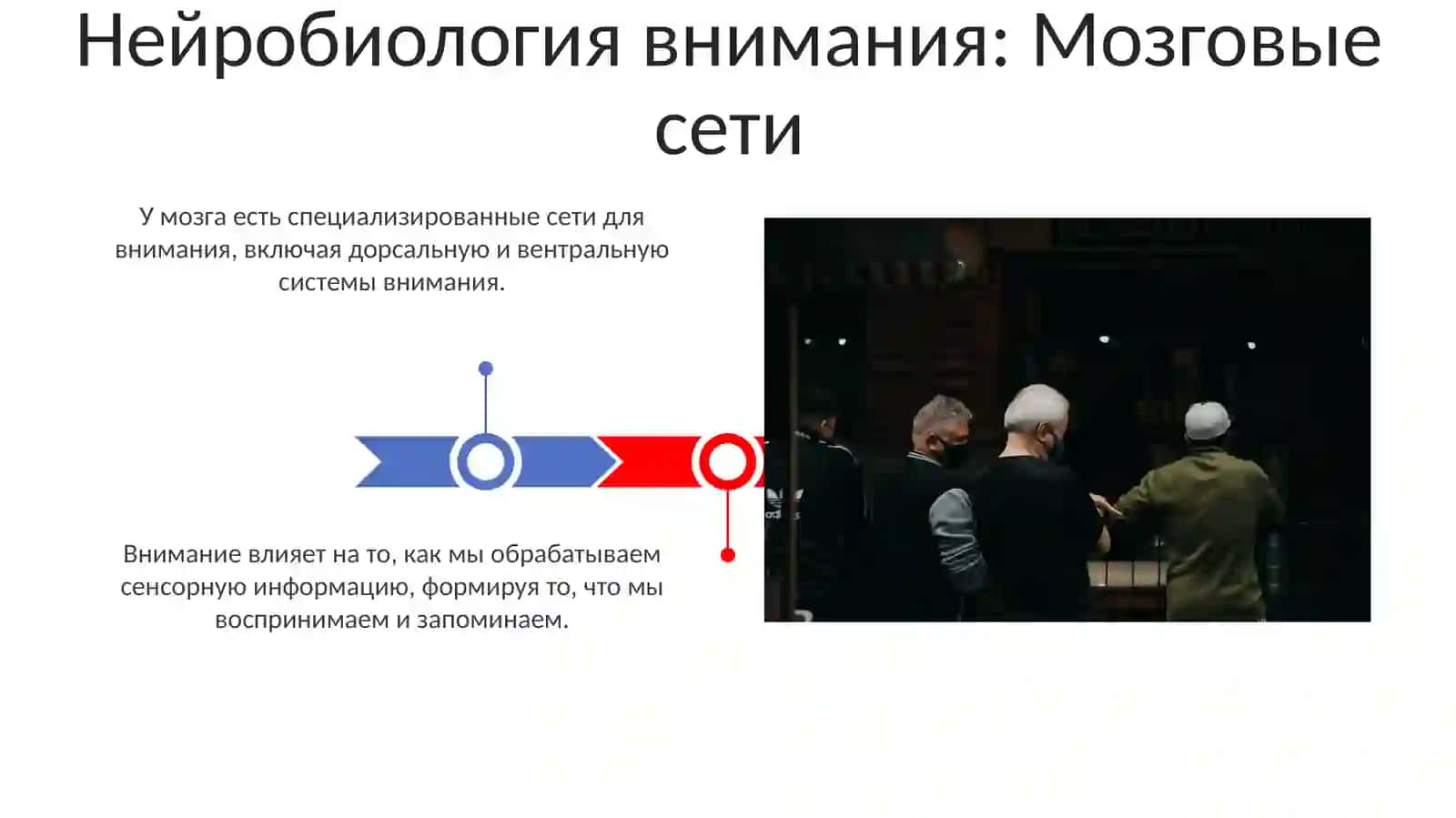 Внимание и ошушение 3