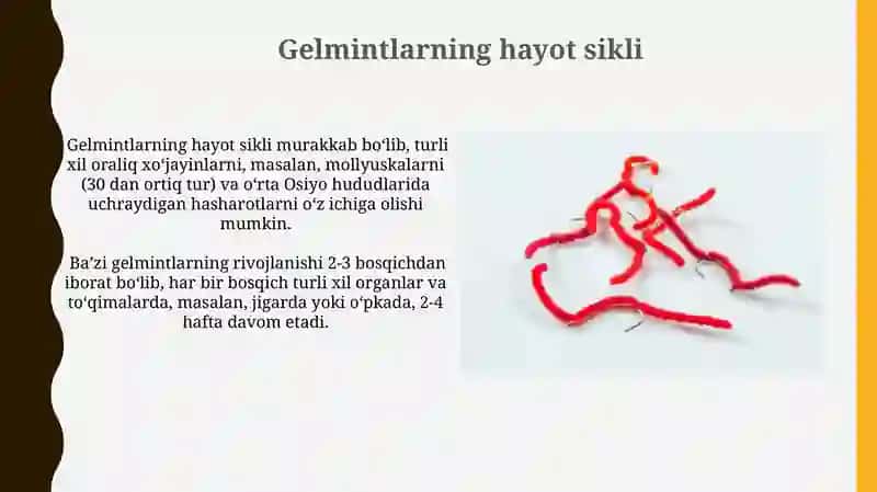 Gelmintologiya 3