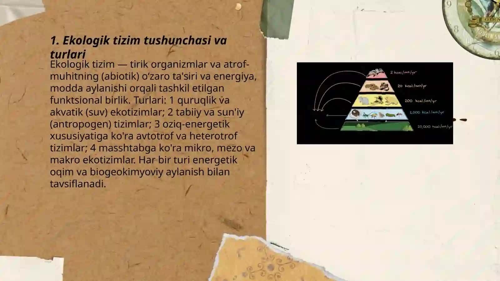 Ekologik tizimlar 3
