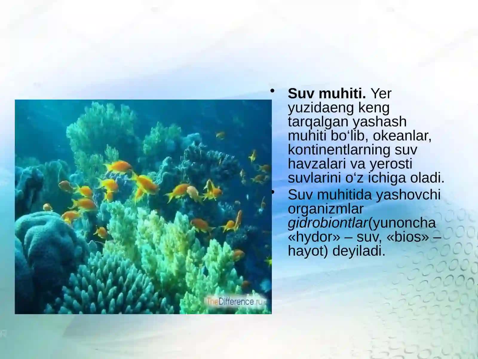 Muhitomillarivaularningtasnifi 3