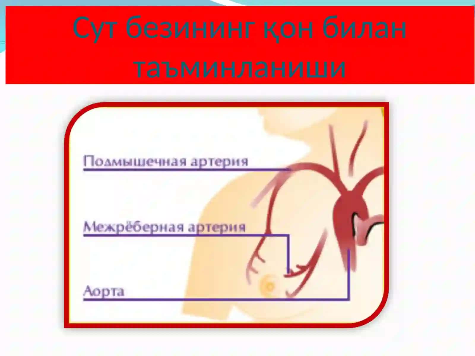 Сут бези саратони 3