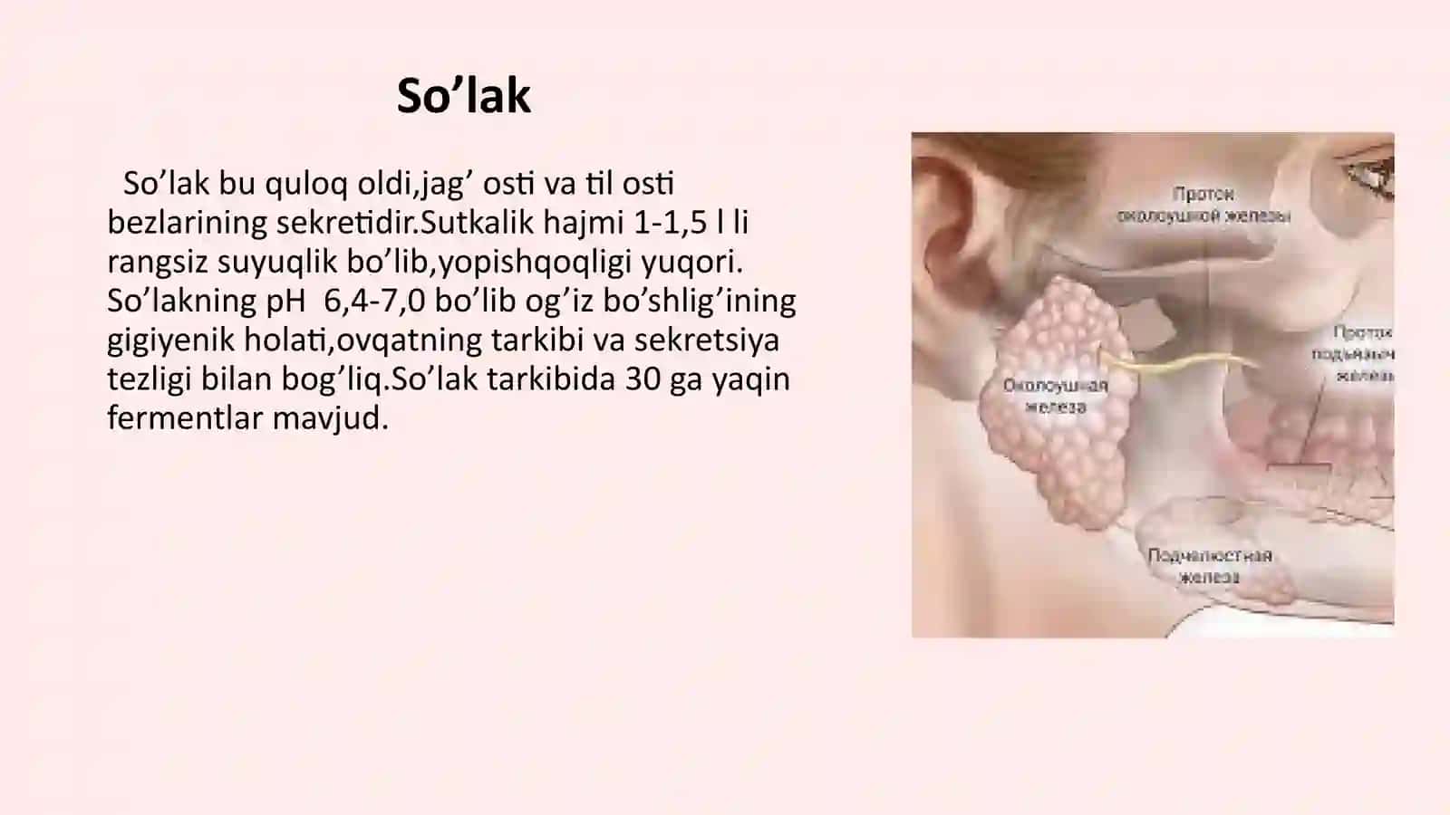 Oshqozon -ichak tizimi biokimyosi 3