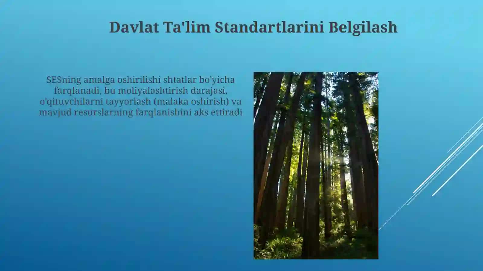 Davlat Ta'lim Standartlarini Belgilash 3