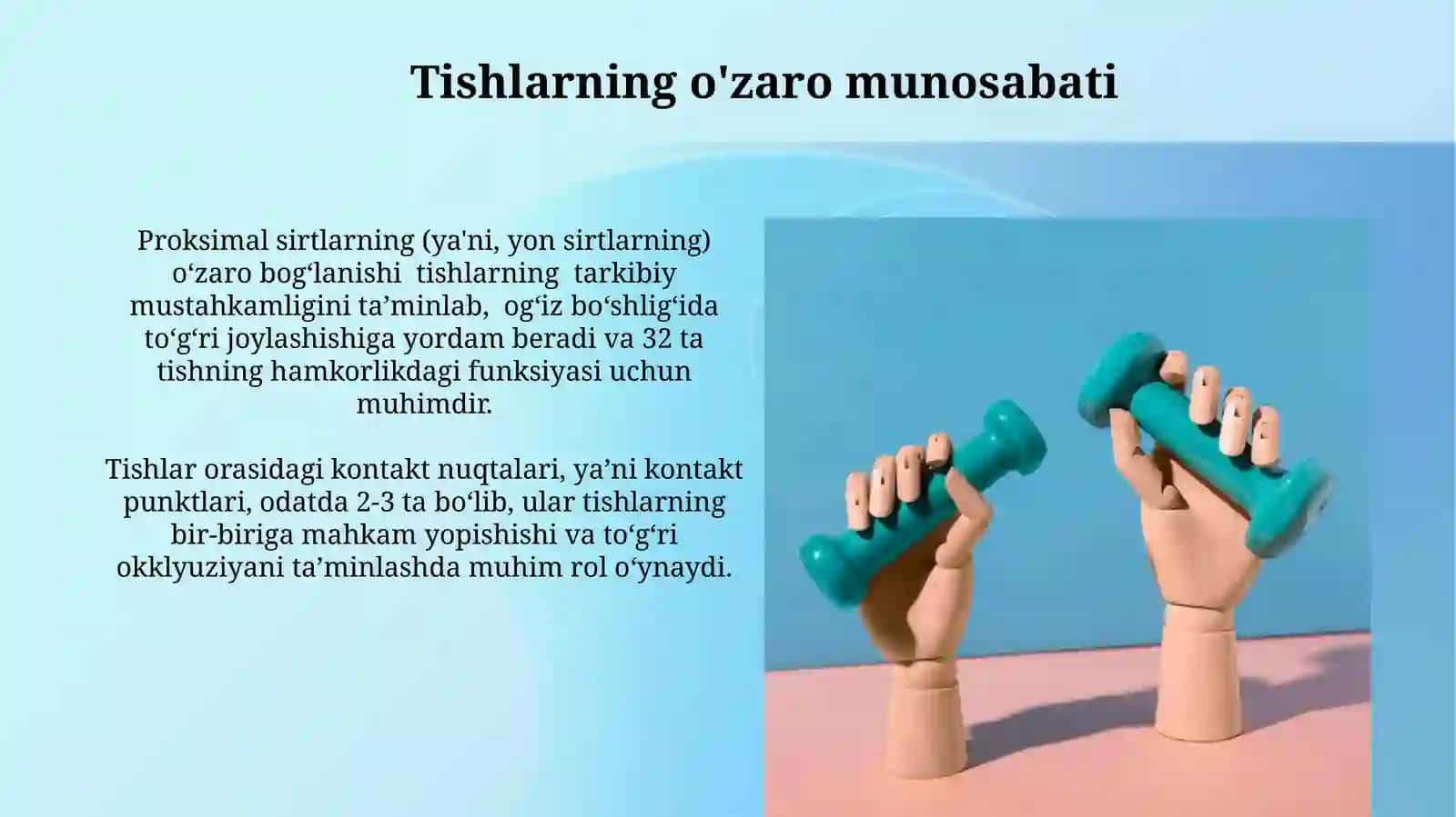 Tishlarning anatamik tuzulishi 3