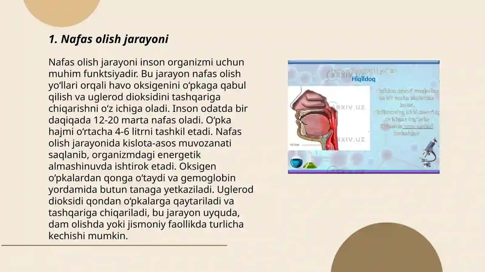 Nafas olish sistemasi 3