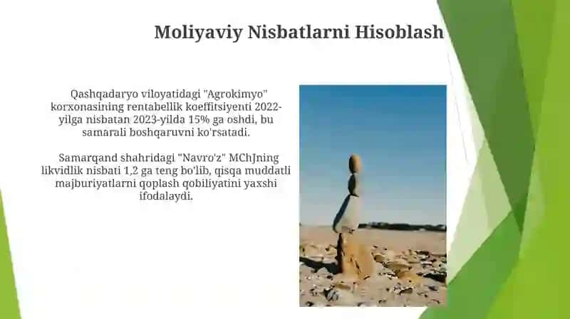 Kampaniyaning Moliyaviy Ahvoli To'g'risida Xulosa 3
