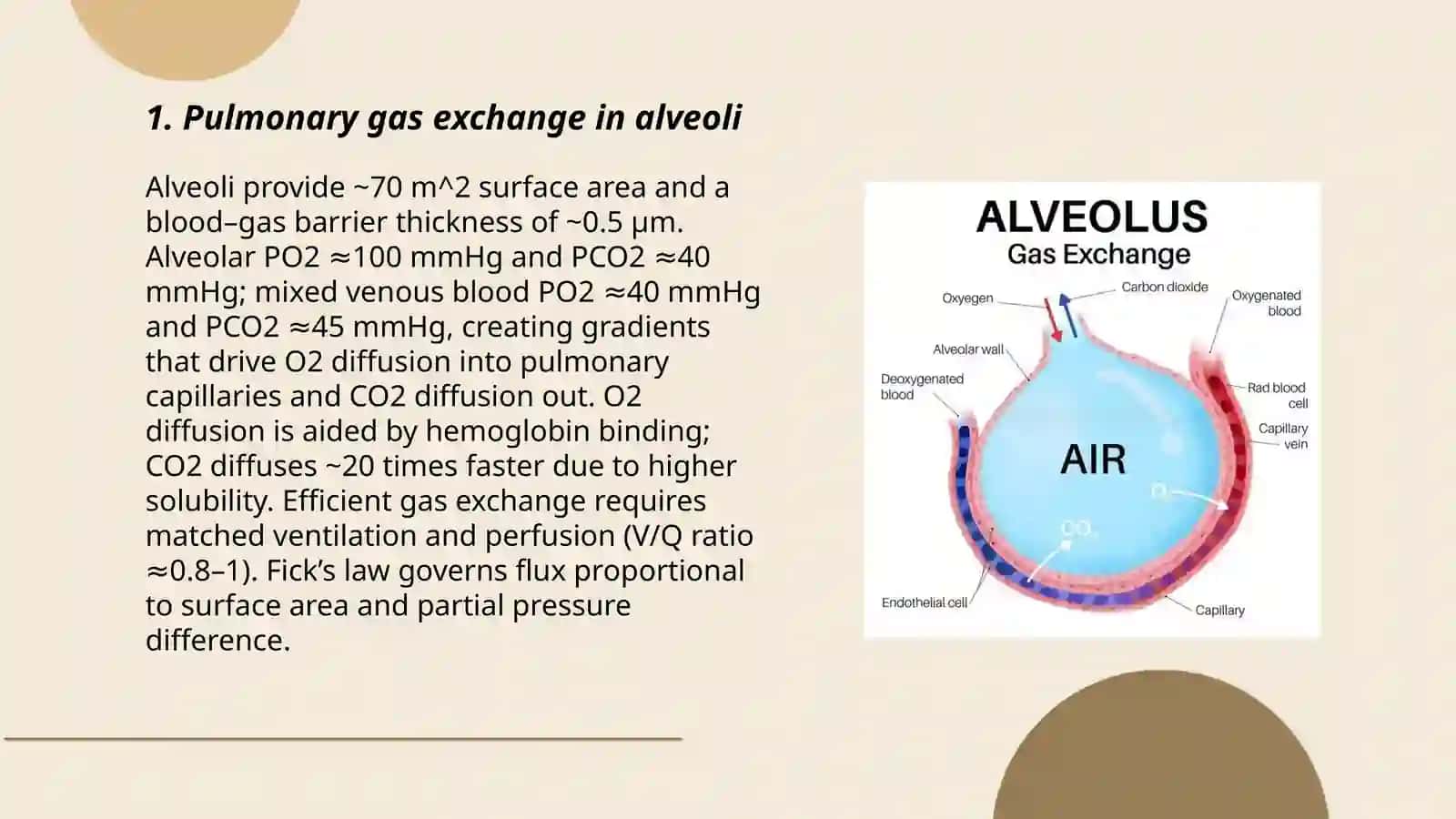 The exchange of gas 3