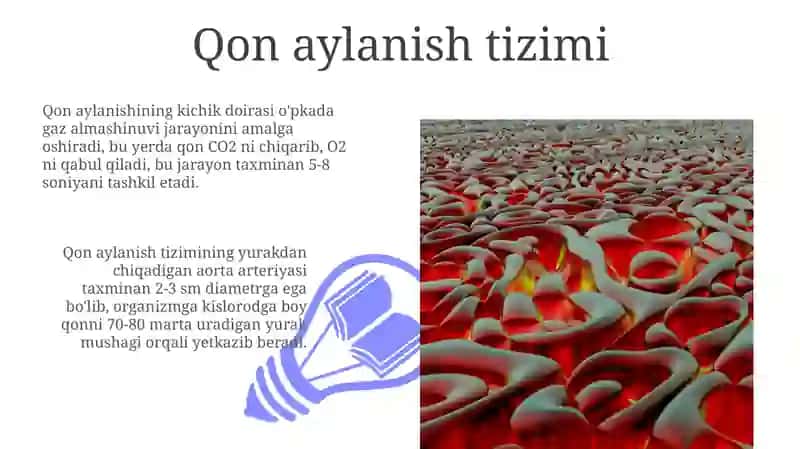 Ichki muhit toʻqimalari. Qon 3
