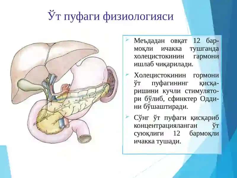 Ўт тош касаллиги 3