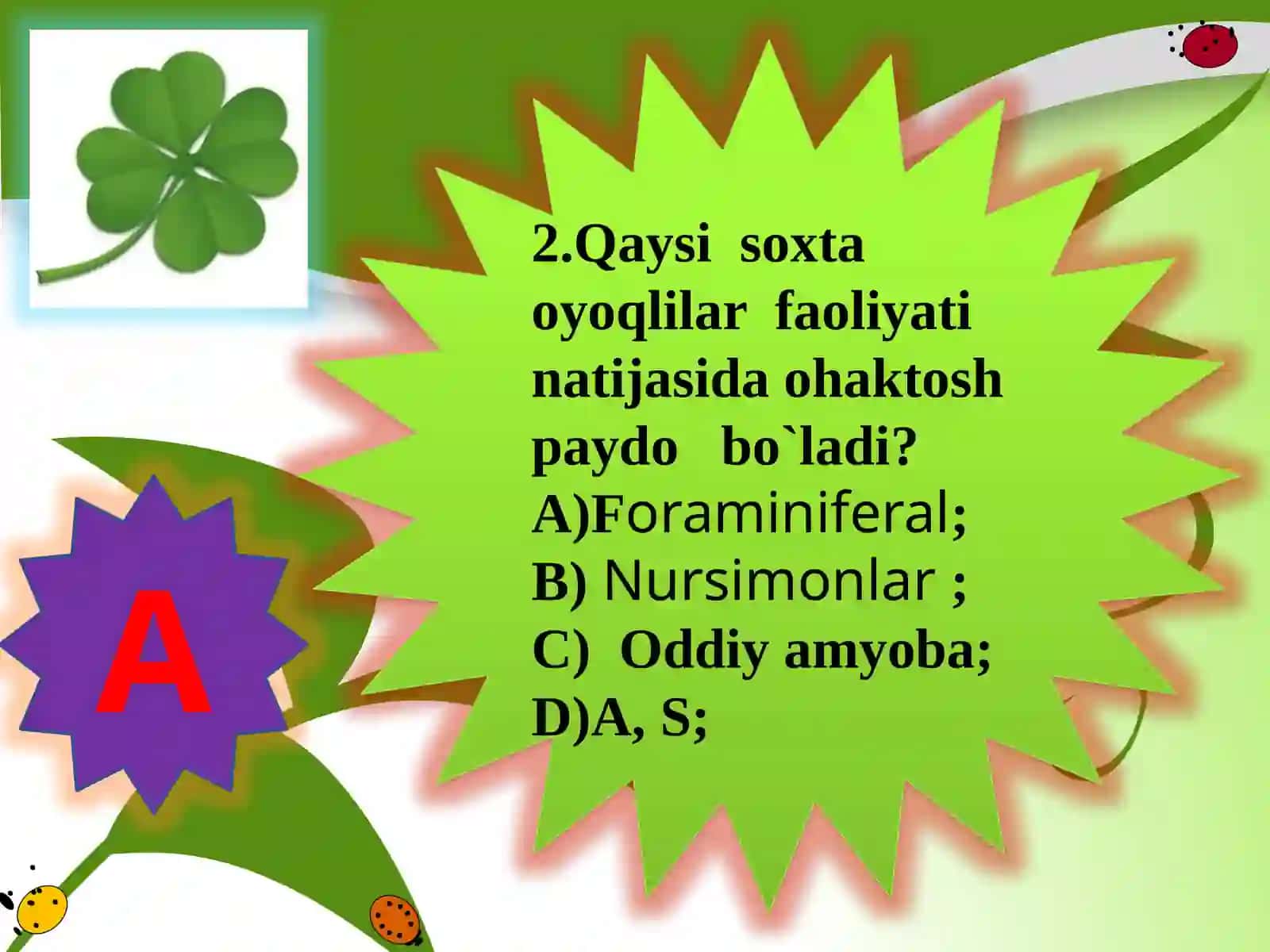 Xivchinlilar sinfi 3