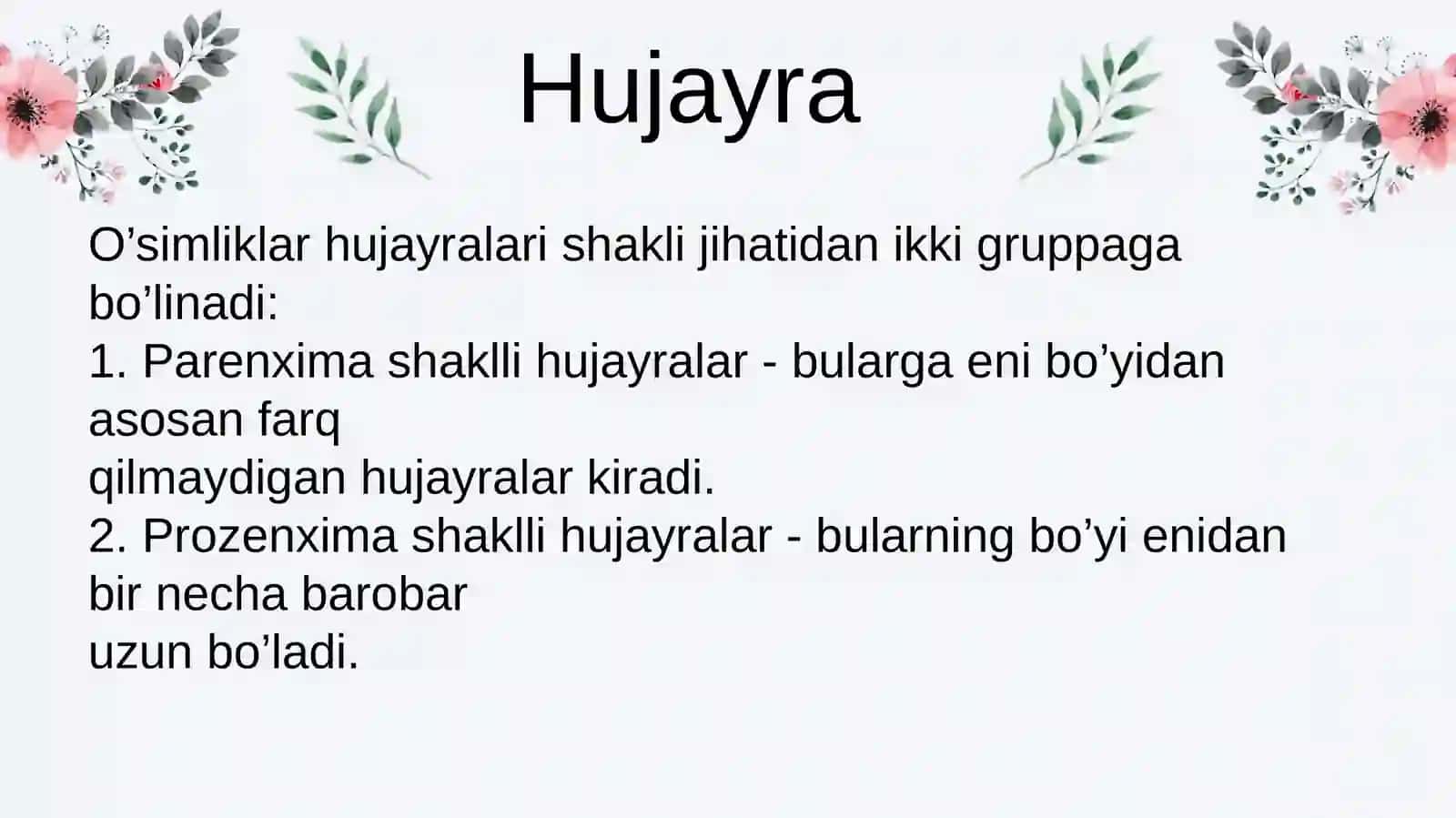 HUJAYRA TUZILMASI VA FUNKSIYALARI 3