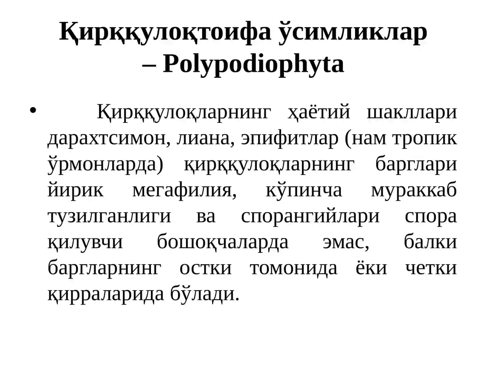 Қирққулоқтоифа ўсимликлар (Polypodiophyta) 3