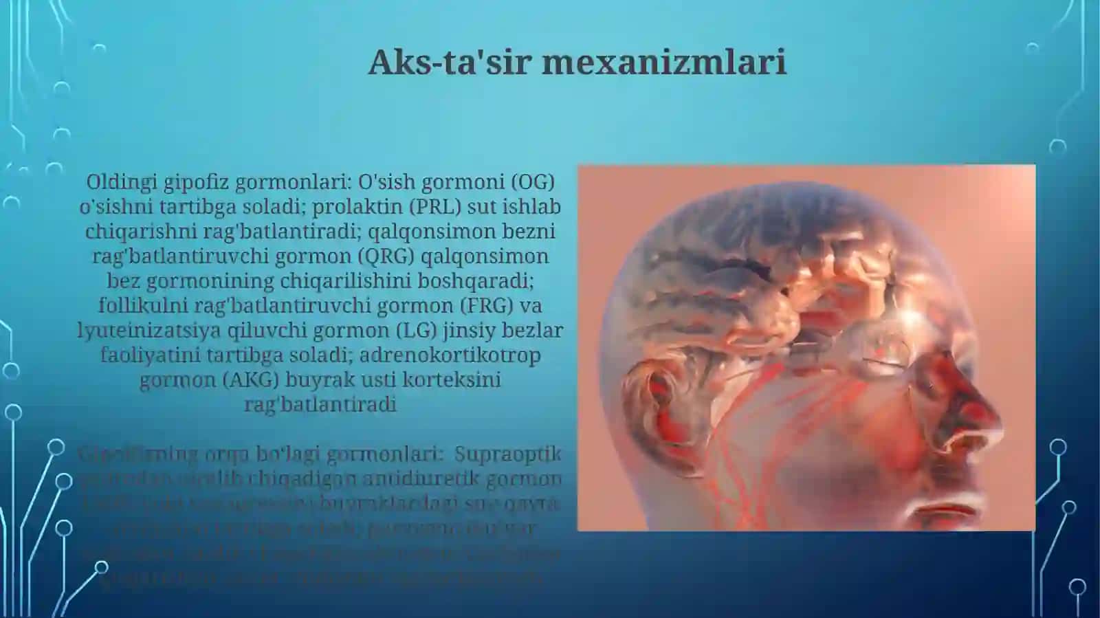Gipofiz bezi Fizialogiyasi 3