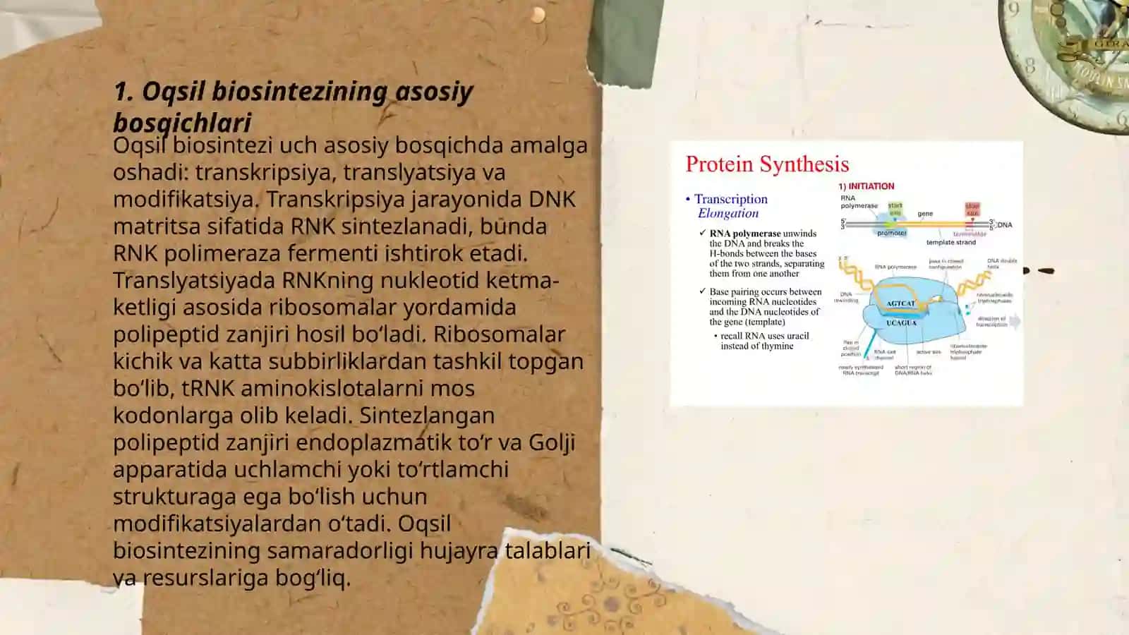 Oqsil biosintezi ingibitorlari 3