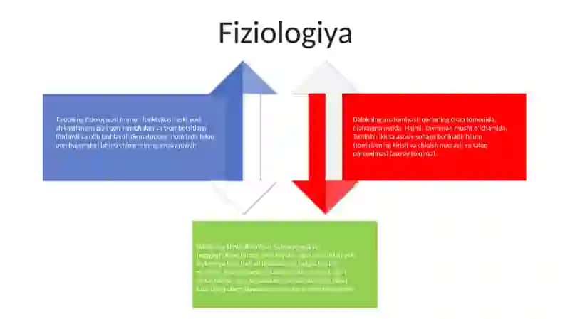 Oshqozon Osti Bezlari 3