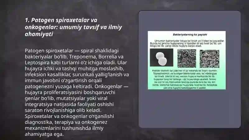 Patogen spiroxetalar va onkogenlar 3
